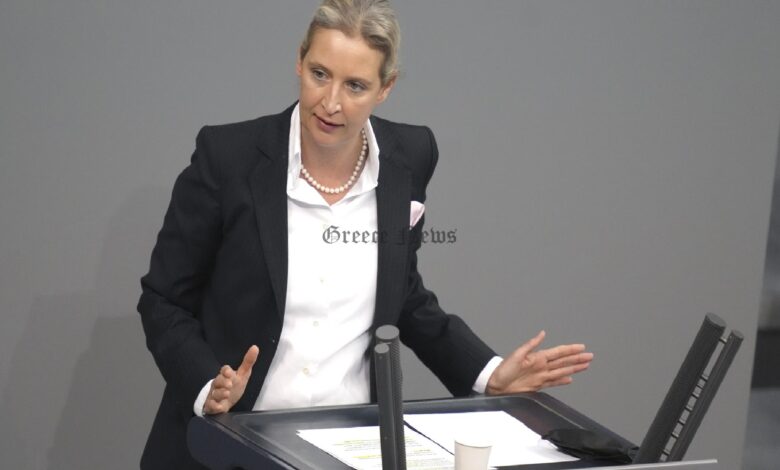 alice weidel gay brexit gEcJkGZC