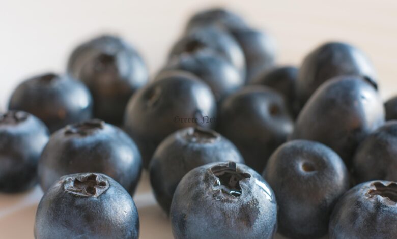 blueberries cyIZUbKd